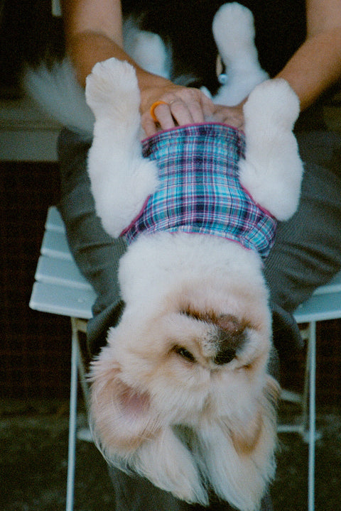 Grape Plaid Ruched Dog Vest