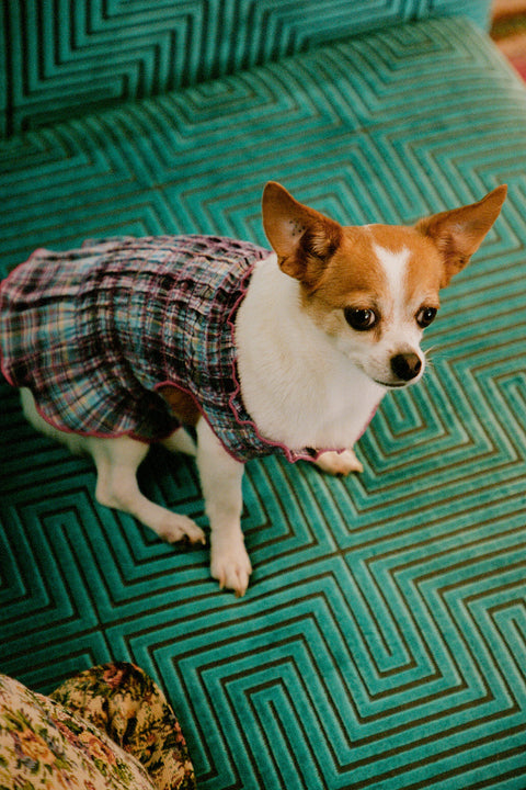 Grape Plaid Ruched Dog Vest