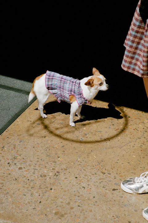 Grape Plaid Ruched Dog Vest