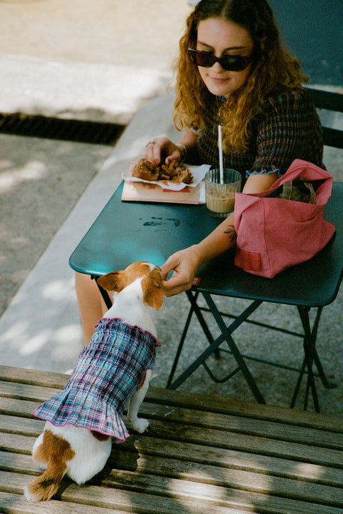Grape Plaid Ruched Dog Vest