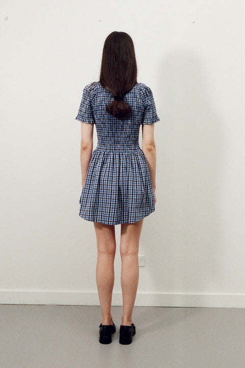 Blue Plaid Button Picnic Dress