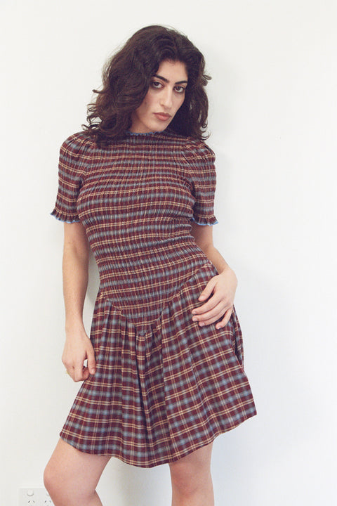 Boysenberry Picnic Dress